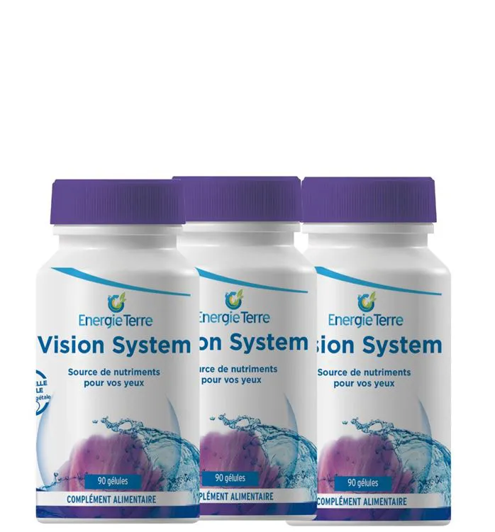 Vision System (3 flacons 90 gélules)